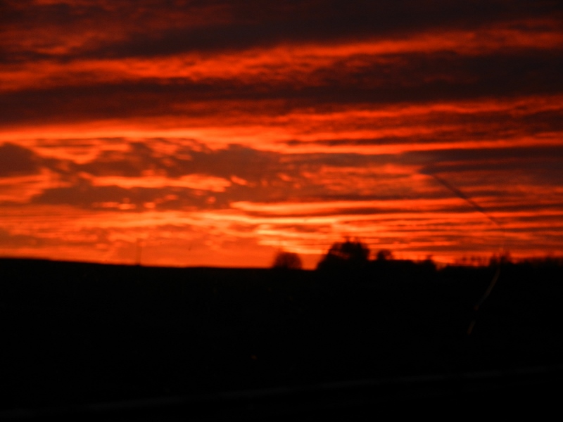 DSCN4399 (800x600).jpg