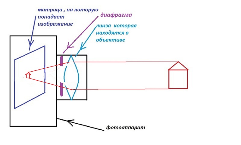 фотоаппарат в разрезе.jpg